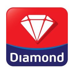 Logo SIT Darul Fikri