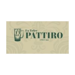 Logo Es Teler Pattiro