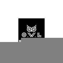 logo OWL EYEWEAR